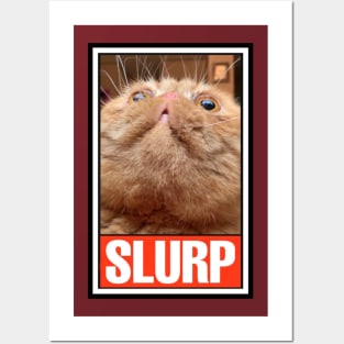 RUFUS the SLURPY CAT! Posters and Art